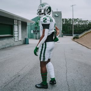 Quarter Socks Green (3-Pairs)