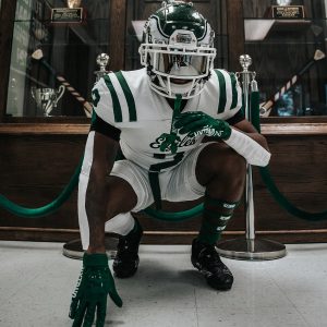 Arm Bands Dark Green (1 Pair)