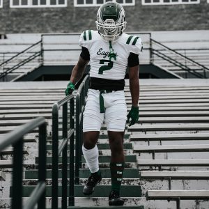 Arm Bands Dark Green (1 Pair)