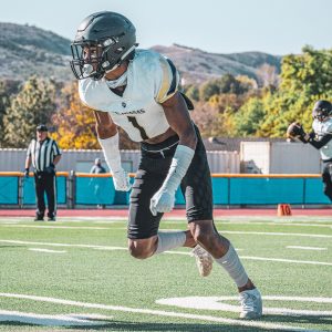 Scrunch Football Leg Sleeves Light Grey