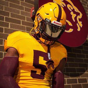 AirTek Arm Sleeves Maroon (1 Pair)