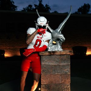 Double Arm Sleeves Red (1 Pair)